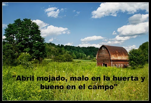 frases celebres sobre el campo