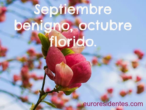 10 refranes de septiembre - Frases y Citas Célebres