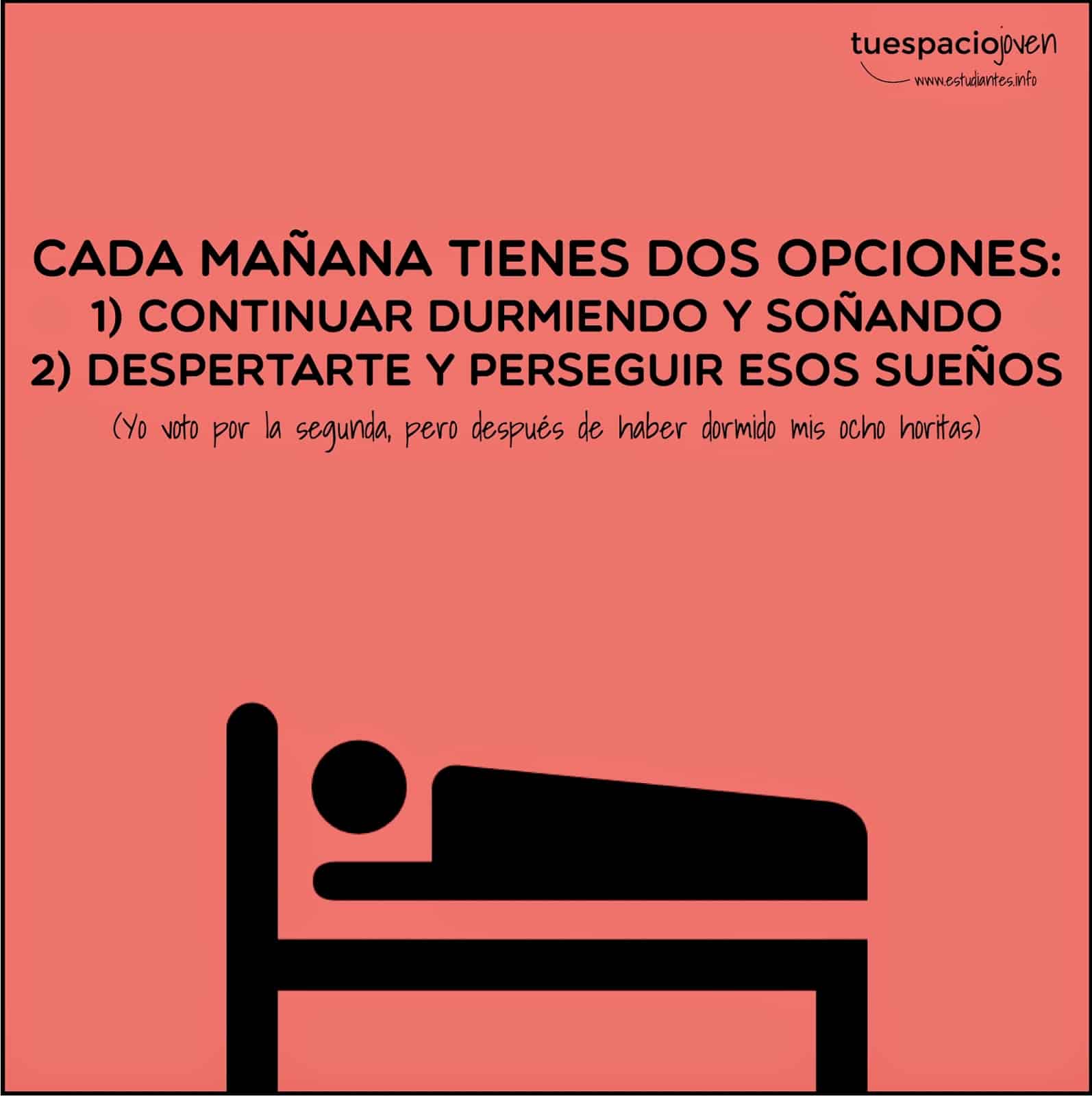 Despierta Y Persigue Tus Sueños Frases Y Citas Célebres