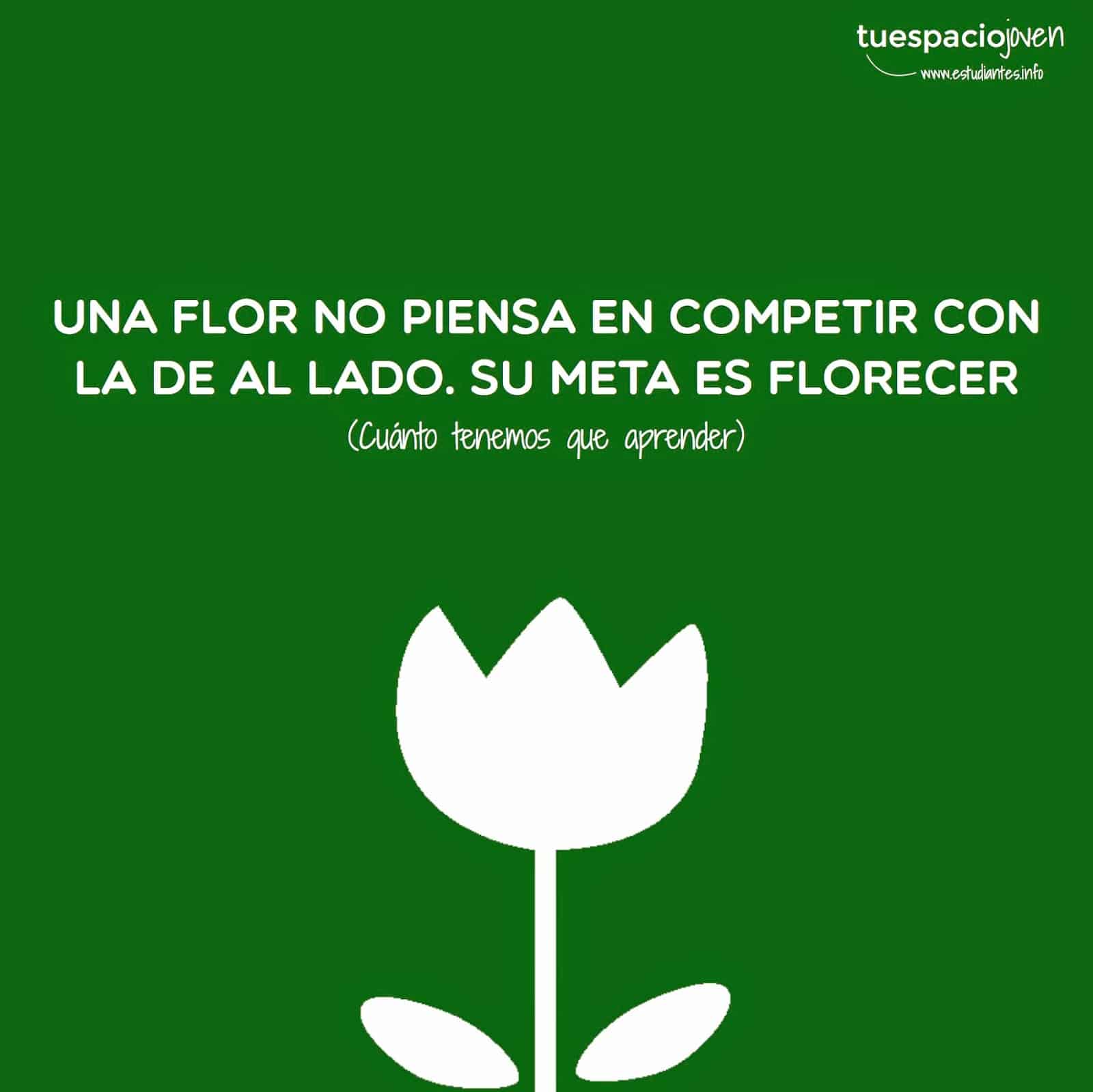 Una flor no piensa en competir, piensa en florecer - Frases y Citas Célebres