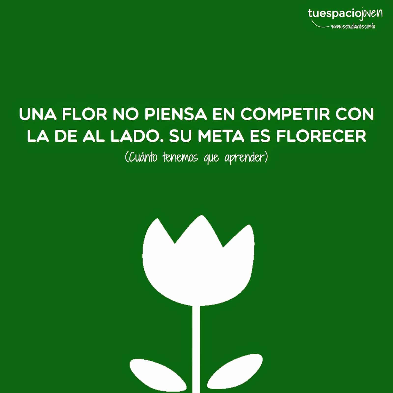 Una flor no piensa en competir, piensa en florecer Frases y Citas