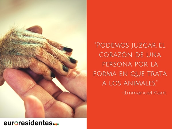 Ama a los animales - Frases y Citas Célebres