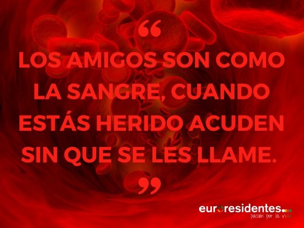 Frases de San Valentín de Amistad - Frases y Citas Célebres