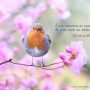 Frases sobre la primavera