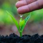 Frases cuidar medio ambiente