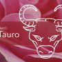 Horóscopos Tauro Mayo 2025