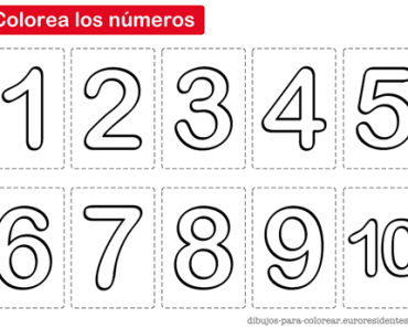 Anticelulíticos y reafirmantes