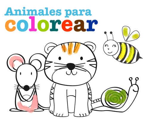 Animales para colorear 