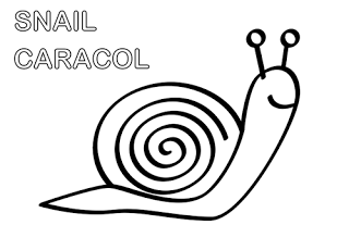 dibujo de caracol para colorear