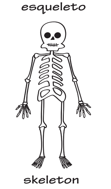 dibujo de esqueleto