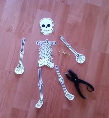 esqueleto articulado Halloween