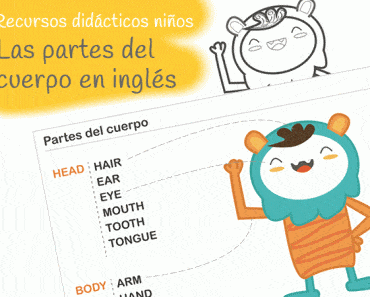 Imprimible: Partes del cuerpo en inglés para niños