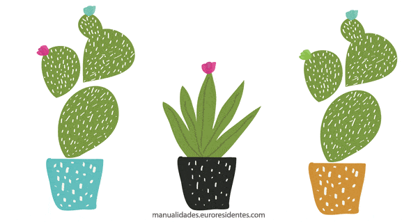 dibujo de cactus para imprimir