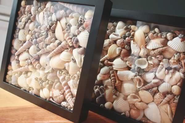 Ideas para decorar con conchas de mar