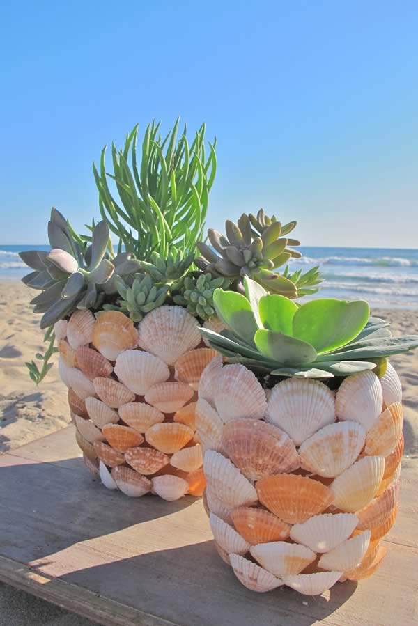 Manualidades con conchas de mar: 10 Ideas para decorar con conchas