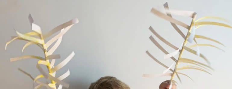 Cómo hacer palma de papel