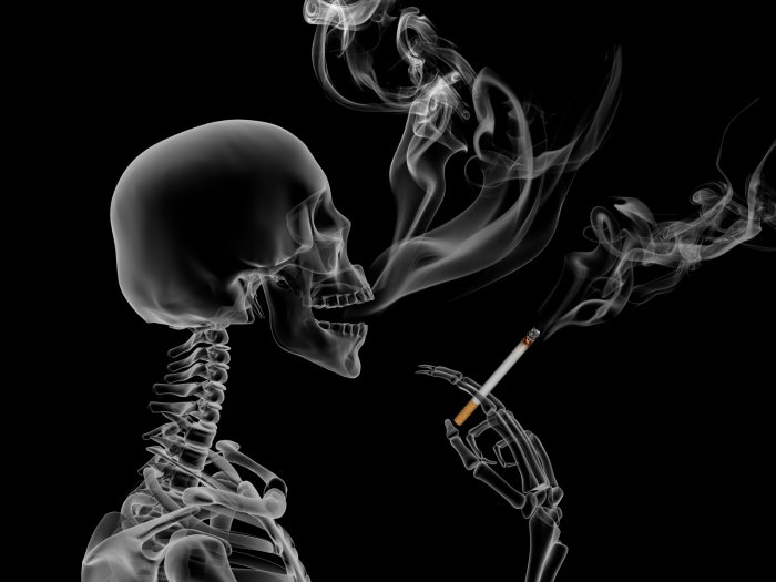 Fumar Mata (Tabaco)