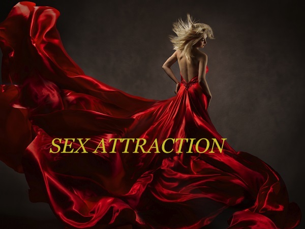 Atracción Sexual: 7 razones por las cuales se produce