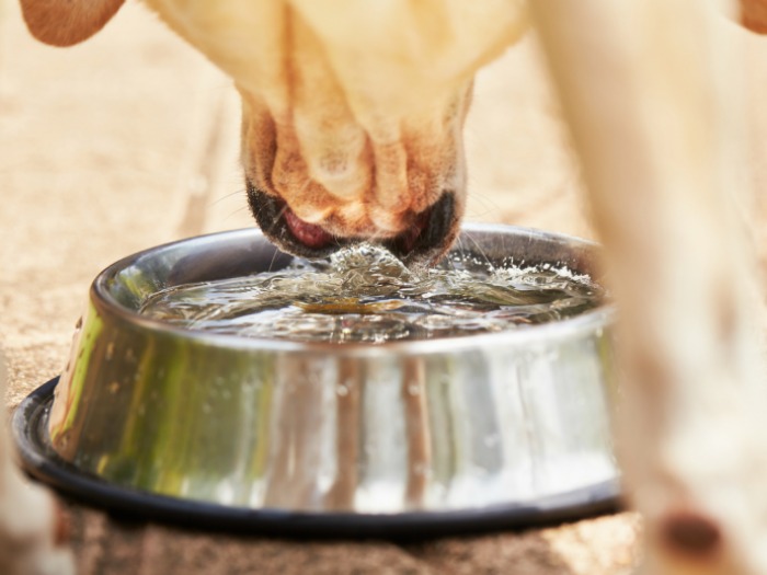 Si tomas la suficiente agua, tus articulaciones se mantendrán en perfecto estado