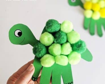 5 formas de hacer una tortuga