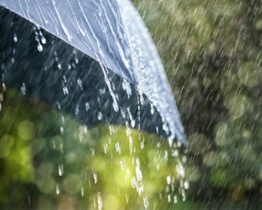Refranes sobre la Lluvia