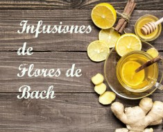 Infusiones de Flores de Bach y especies