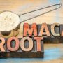 Maca raíz energética