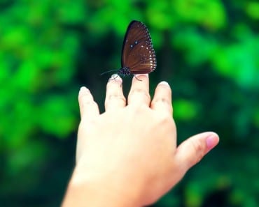 Hábitos de las personas con Inteligencia Emocional