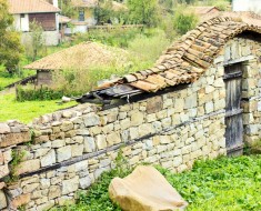 Cómo subsistir en el campo