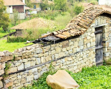 Cómo subsistir en el campo