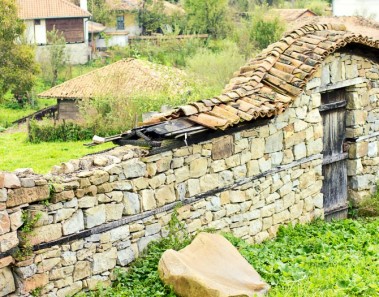 Cómo subsistir en el campo