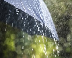 Curiosidades sobre la lluvia