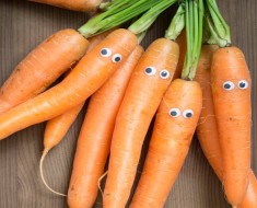 germinar zanahoria sin semilla ojos