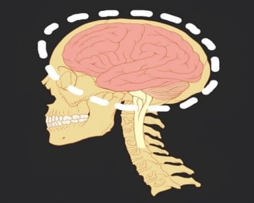 ¿Cómo afecta la marihuana al cerebro adolescente?