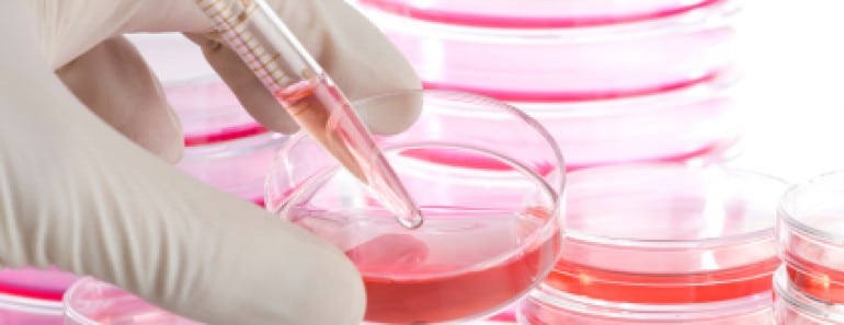 Células Madre y Cosmética