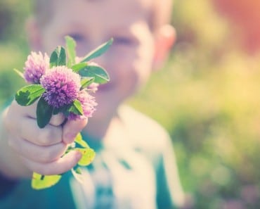 Las Flores de Bach usos y sanación energética
