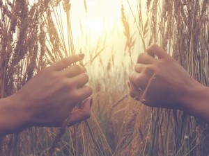 Sermon Abraham and his quarrelsome