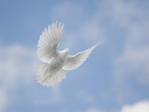 Pentecost
