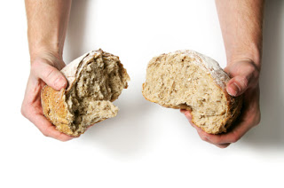 Breaking apart a fresh loaf of bread against a white background.