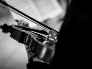 How do orchestral players survive?