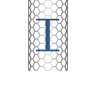 Carbon Nanotechnologies Inc.