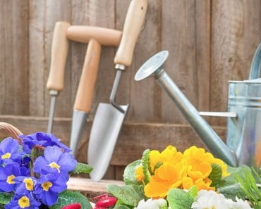 truco para limpiar las herramientas del jardín y evitar que se oxiden