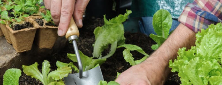 Trucos caseros de jardinería