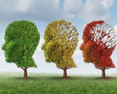 Consejos para prevenir el alzheimer