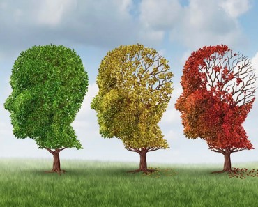 Consejos para prevenir el alzheimer