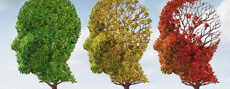 Consejos para prevenir el alzheimer