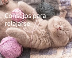 Consejos para relajarse