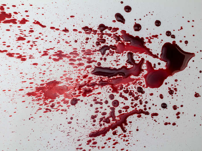 Sangre falsa casera