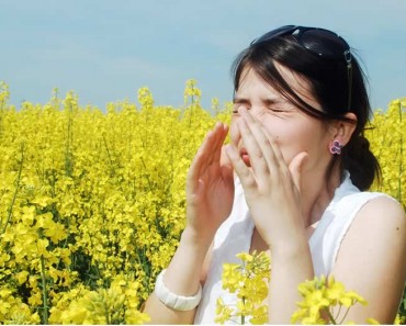 Remedios naturales para la alergia