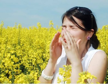 Remedios naturales para la alergia